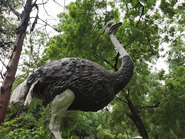 Nehru Zoological Park